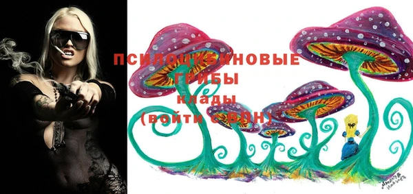 прущая мука Мегион