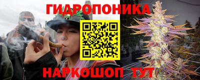 прущая мука Будённовск