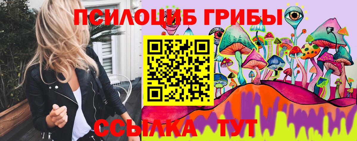 Владимир  Псилоцибиновые грибы мухоморы  наркота  Псилоцибиновые грибы мицелий  Вход с VPN 