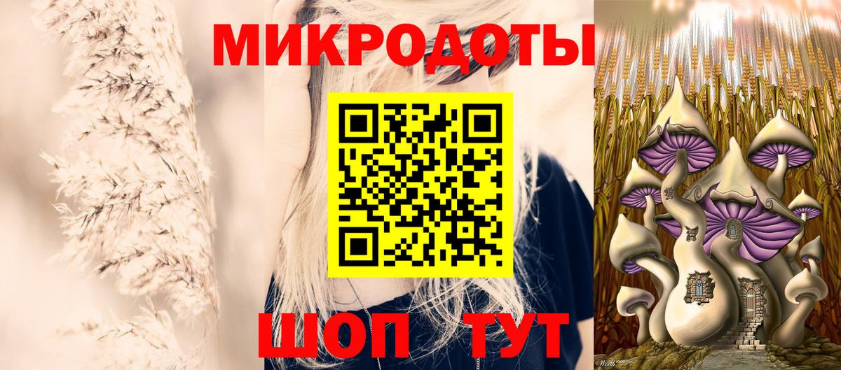 Псилоцибиновые грибы ЛСД Владимир