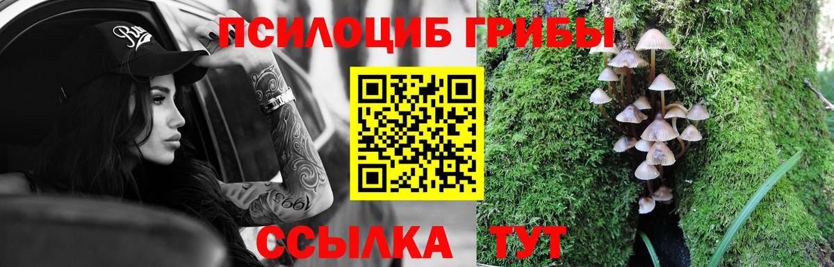 Галлюциногенные грибы GOLDEN TEACHER Владимир