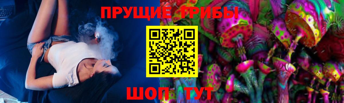 наркошоп  Псилоцибиновые грибы MAGIC MUSHROOMS  Владимир  Галлюциногенные грибы Psilocybine cubensis 