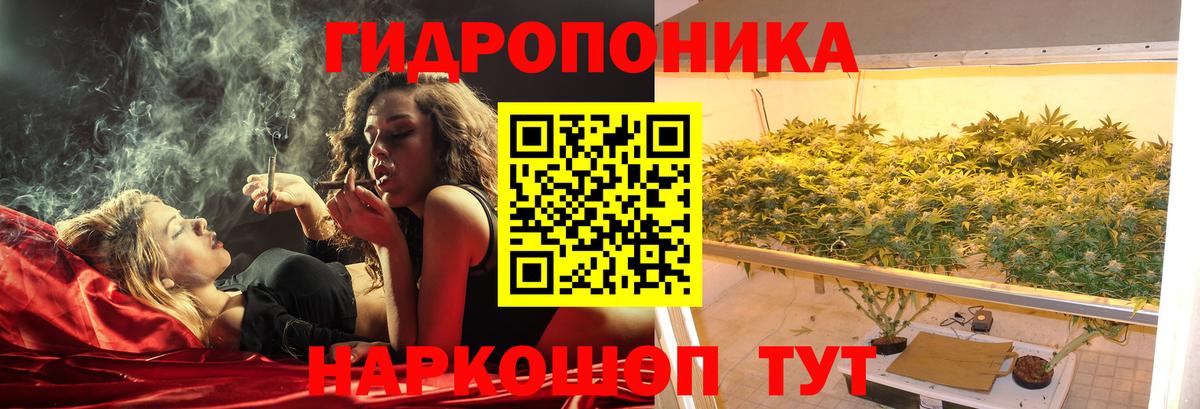 Бошки марихуана AK-47  Владимир  Каннабис AK-47  Конопля Ganja  МАРИХУАНА семена 